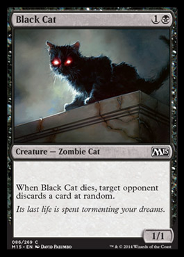 blackcat.jpg