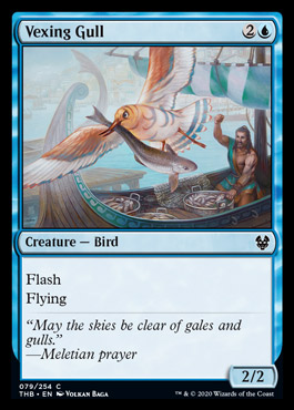vexinggull.jpg