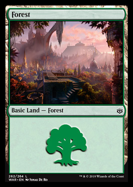 forest.jpg