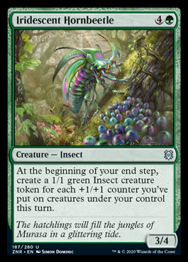iridescenthornbeetle.jpg