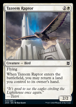 tazeemraptor.jpg