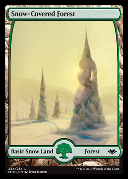 snowcoveredforest.jpg